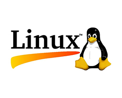 Linux server deployment